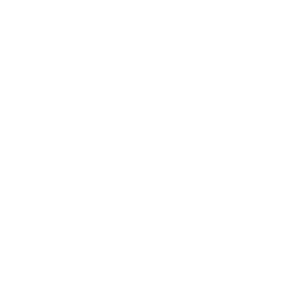 DH-Cruise-Terminal-Logo